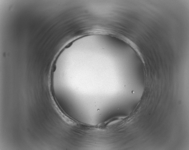 X0000073851195200608311952