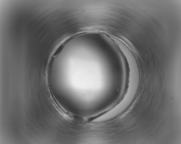 X0000073851196200608311952