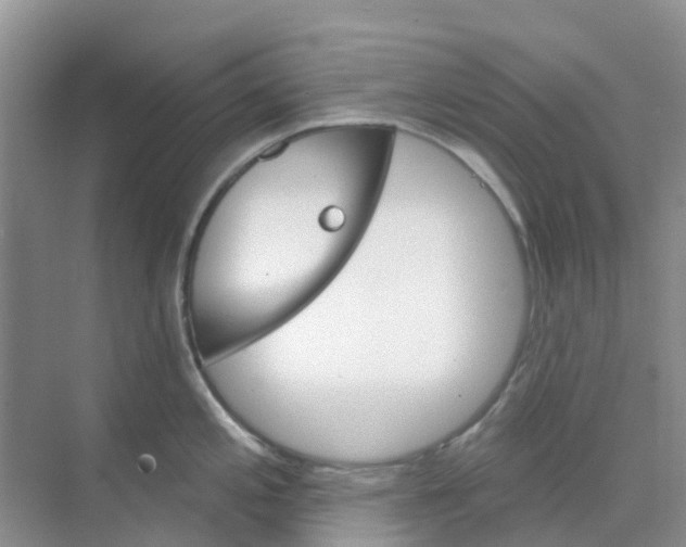 X0000073851197200608311952