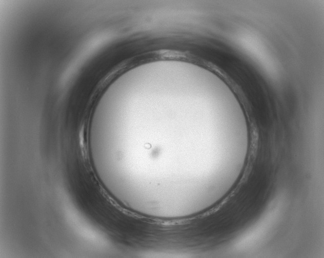 X0000073851198200608311952