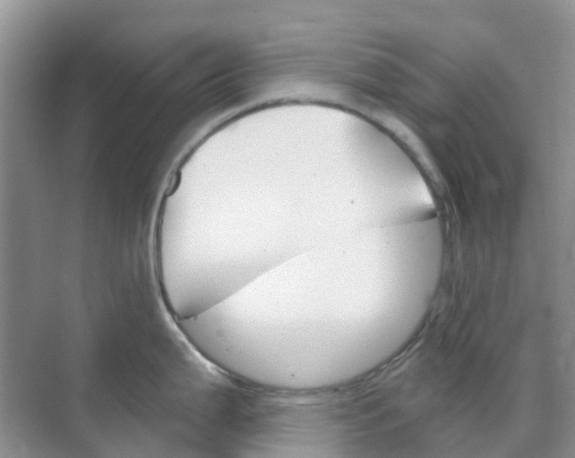 X0000073851199200608311952