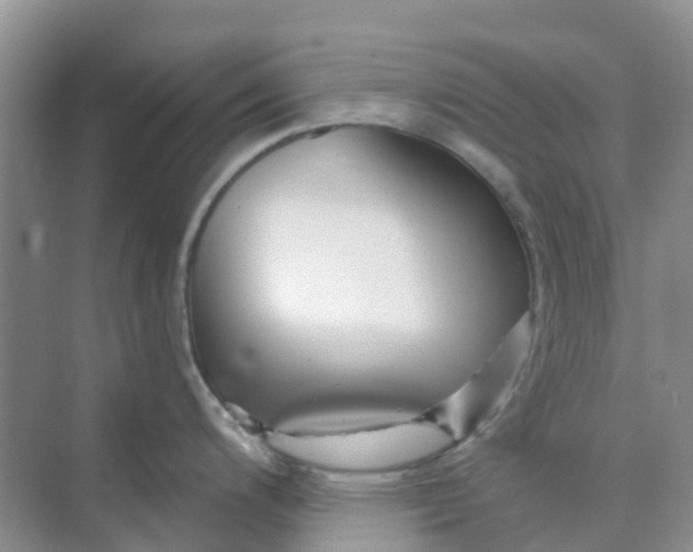 X0000073851200200608311952