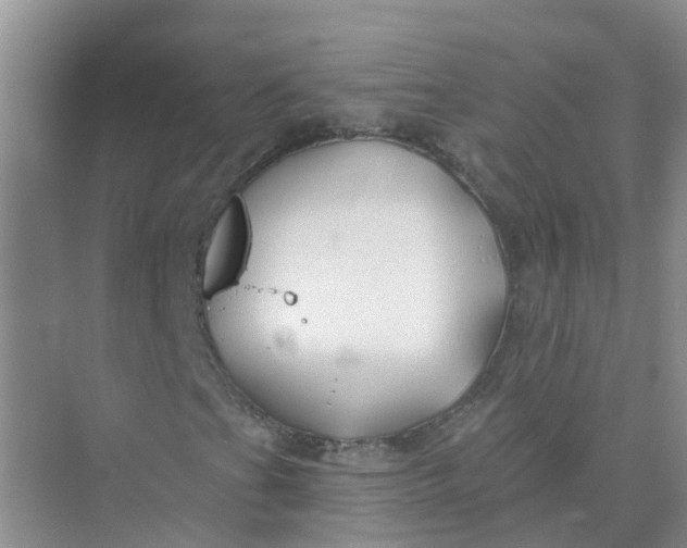 X0000073851201200608311951