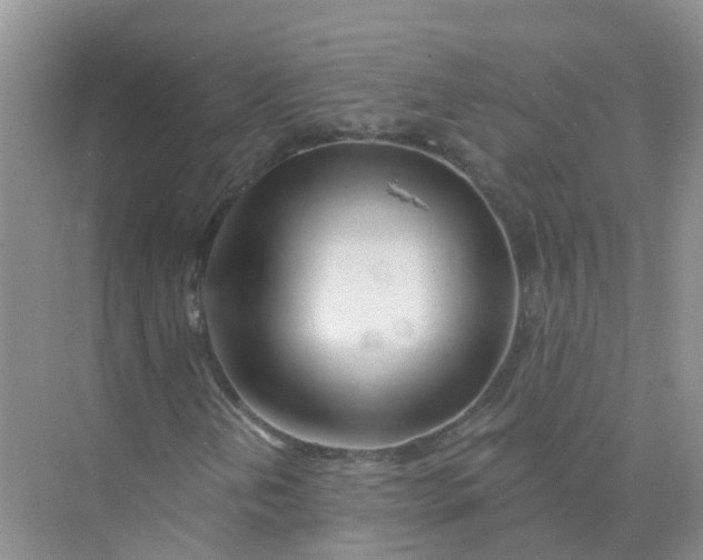 X0000073851202200608311952