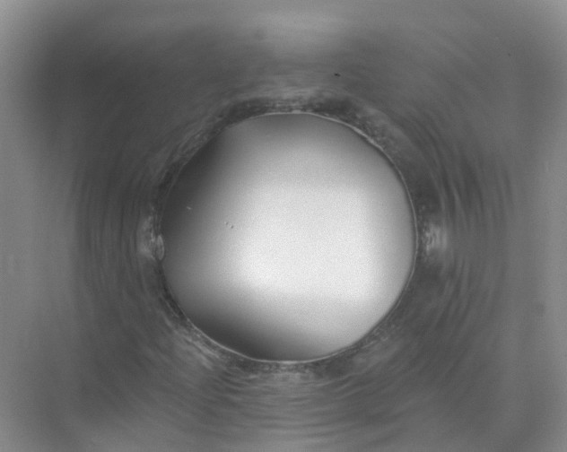 X0000073851204200608311952