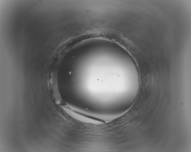 X0000073851206200608311952