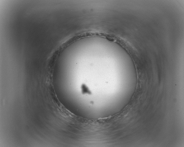 X0000073851207200608311952