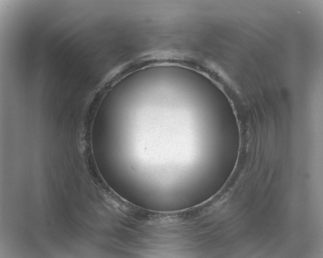 X0000073851213200608311952