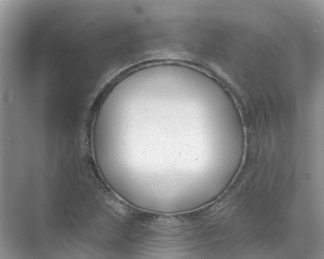 X0000073851215200608311952