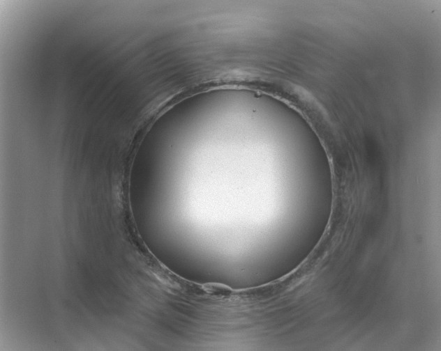 X0000073851217200608311952