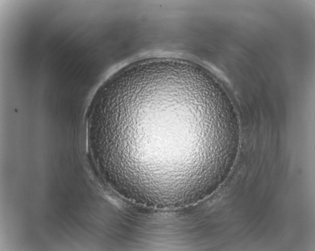 X0000073851223200608311952