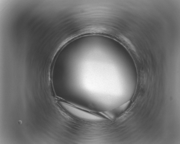 X0000073851226200608311952