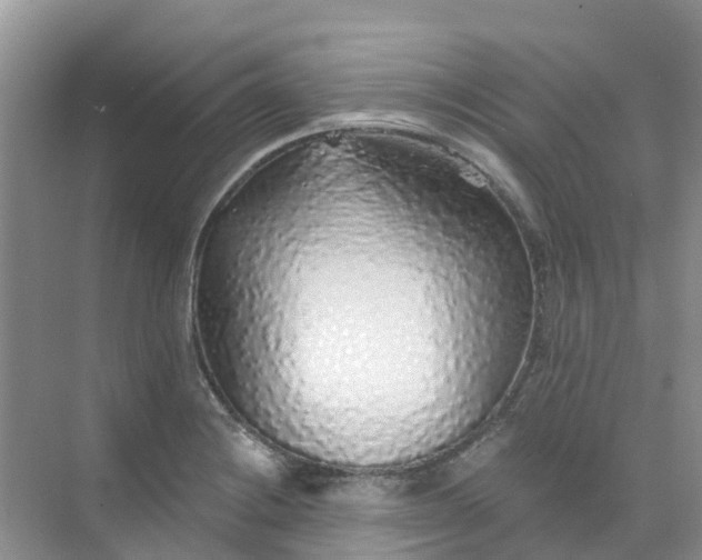 X0000073851228200608311952