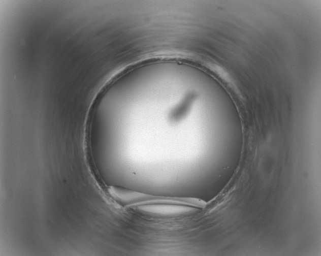 X0000073851229200608311952