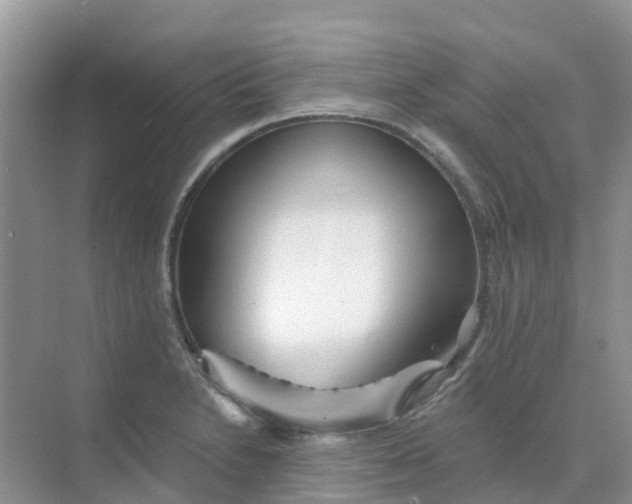 X0000073851230200608311952