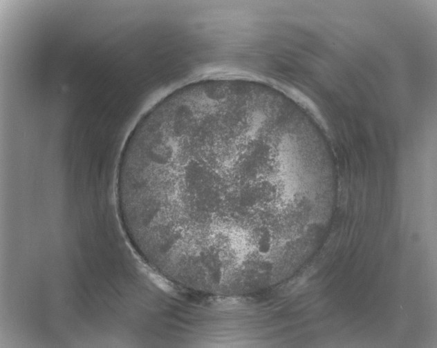 X0000073851231200608311952