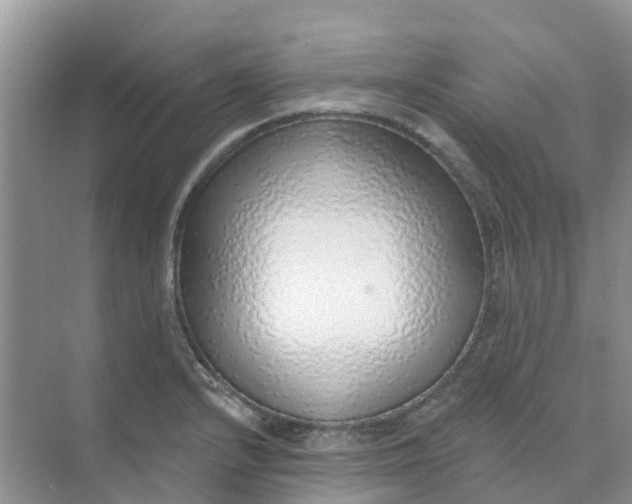 X0000073851232200608311952