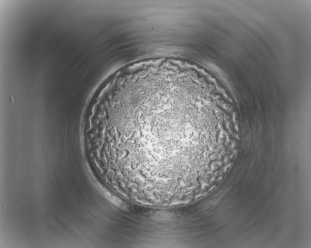 X0000073851235200608311952