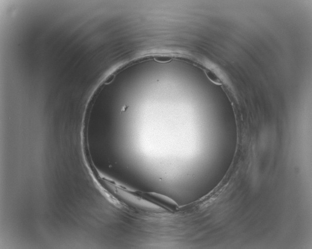 X0000073851237200608311952