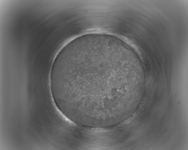 X0000073851239200608311952