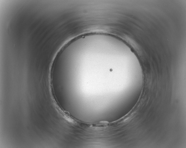 X0000073851240200608311952