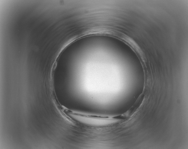 X0000073851242200608311952