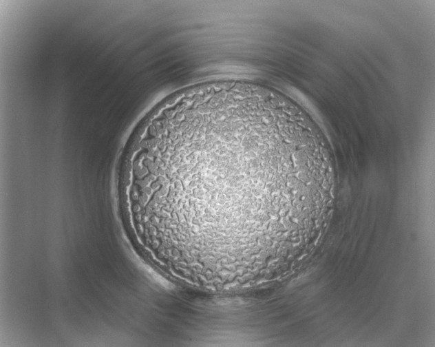 X0000073851243200608311952