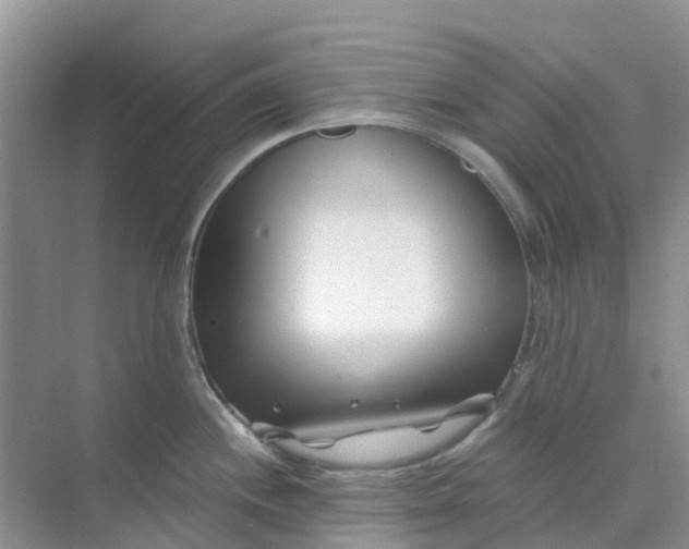 X0000073851244200608311952