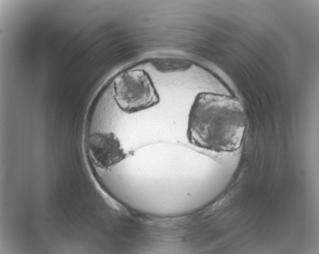 X0000073851245200608311952