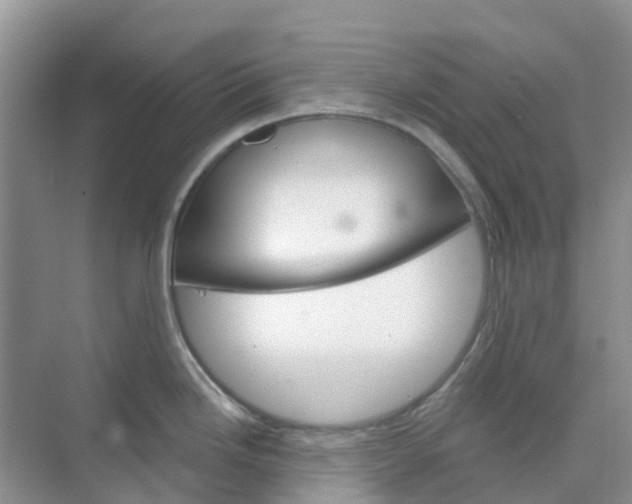 X0000073851246200608311952