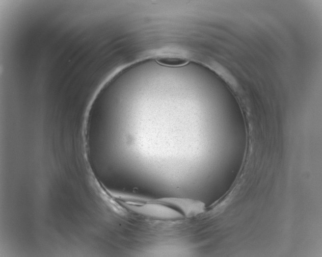 X0000073851248200608311952