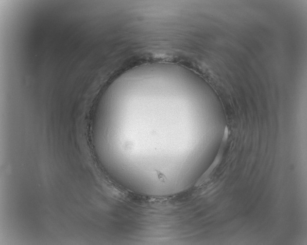 X0000073851249200608311951