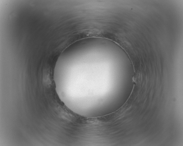 X0000073851250200608311951