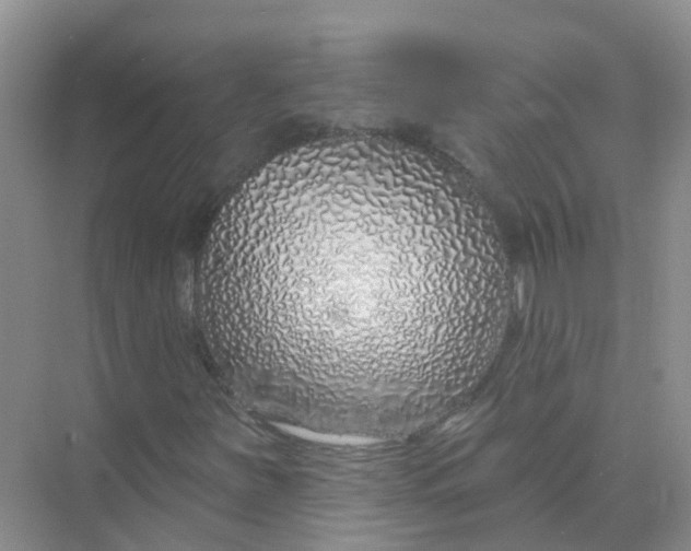 X0000073851251200608311951