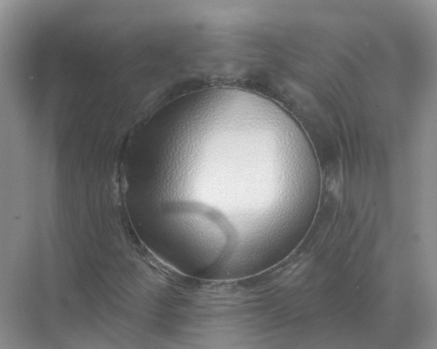 X0000073851252200608311951