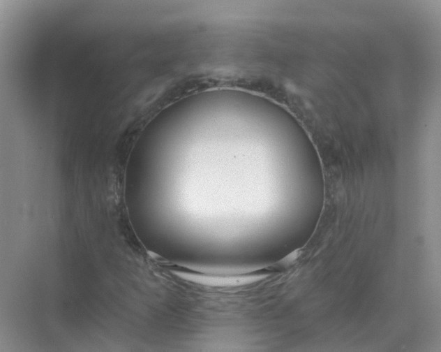 X0000073851253200608311951