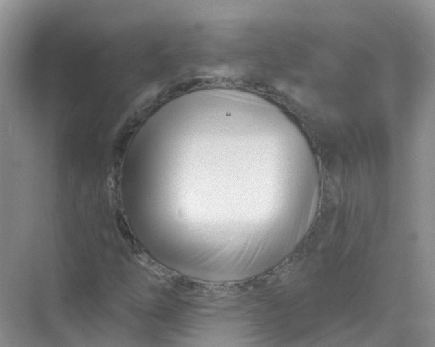 X0000073851254200608311951