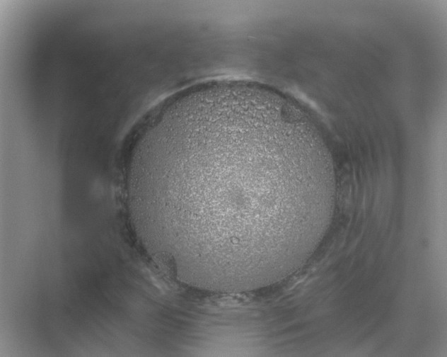 X0000073851255200608311951