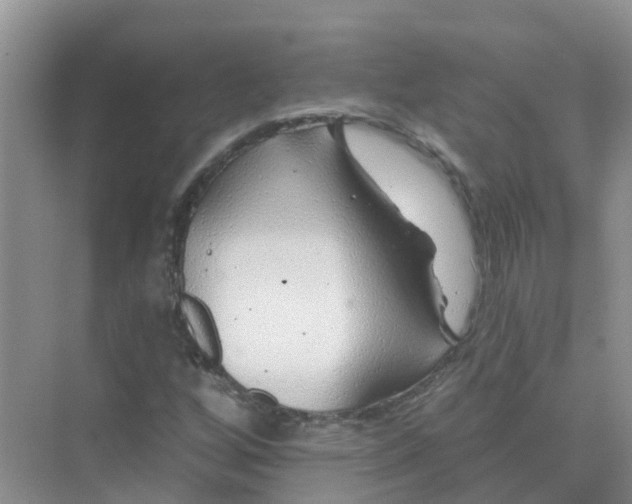 X0000073851256200608311951