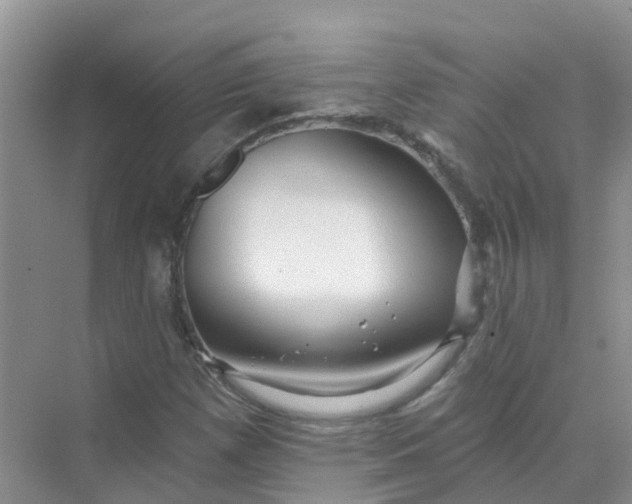 X0000073851257200608311951