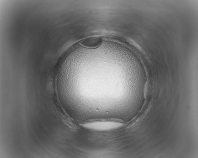 X0000073851259200608311951