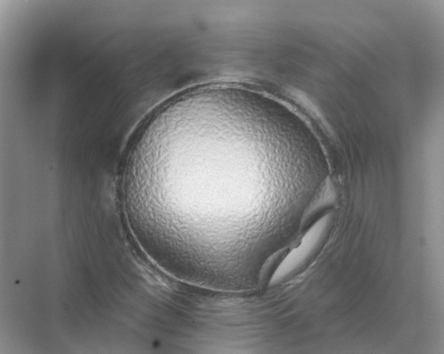 X0000073851260200608311951