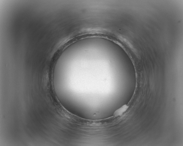 X0000073851261200608311951