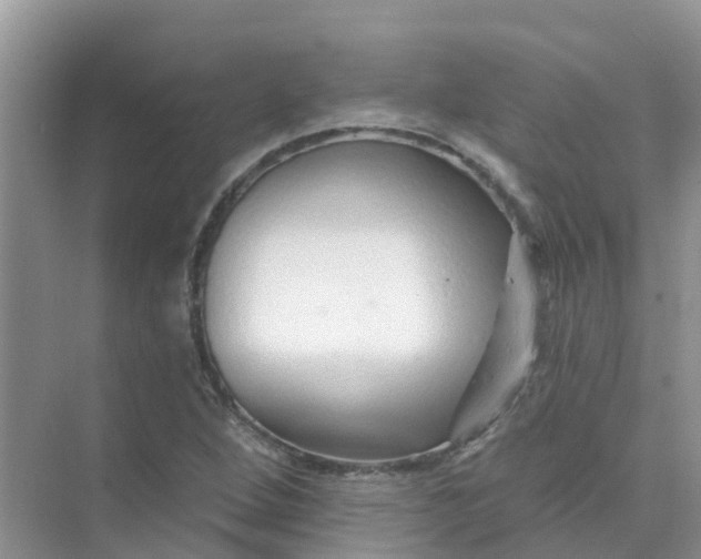 X0000073851264200608311951