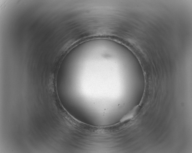 X0000073851265200608311951