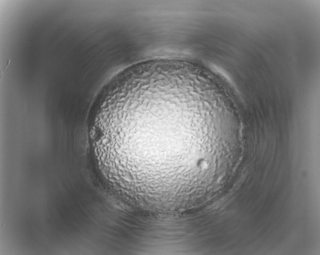 X0000073851267200608311951