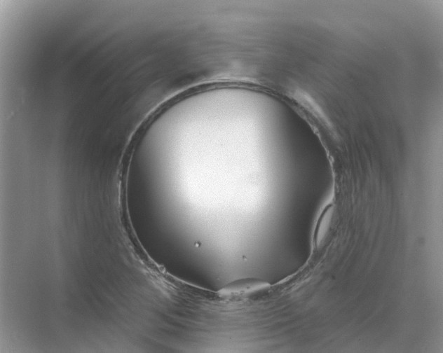 X0000073851268200608311951