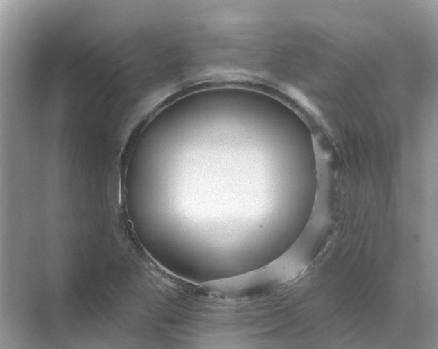 X0000073851269200608311951