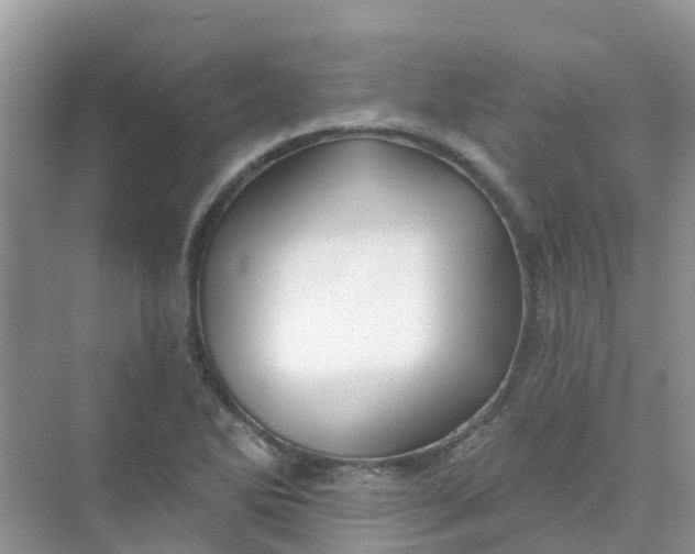 X0000073851270200608311951