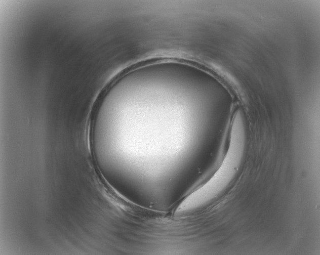 X0000073851272200608311951